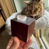 Small image 0