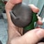 Small image 5