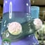 Small image 6