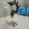 Small image 0