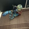 Small image 2