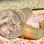 Small image 8