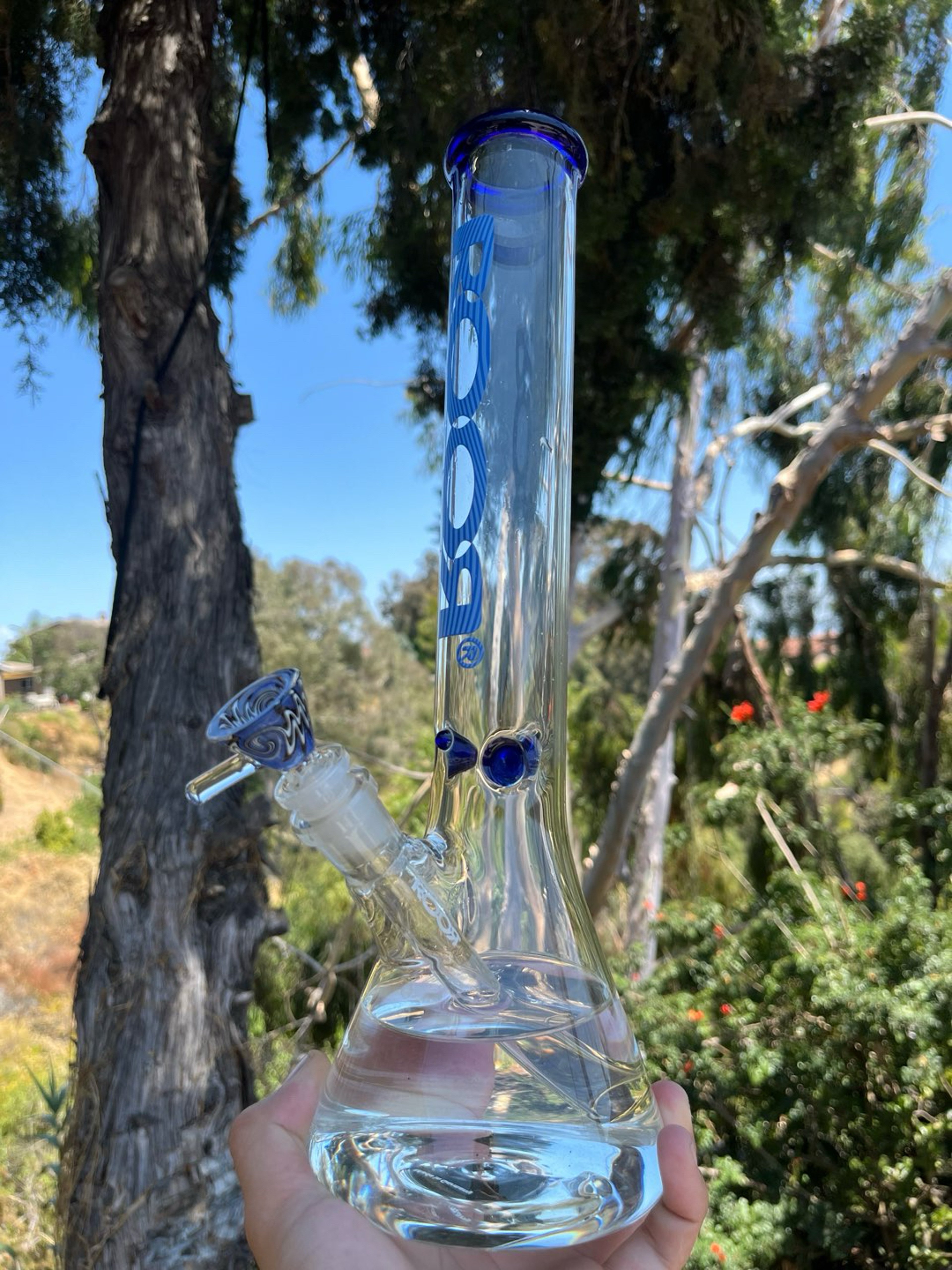 Preview pic of Roor Little Sista 3.2 Blue Accents