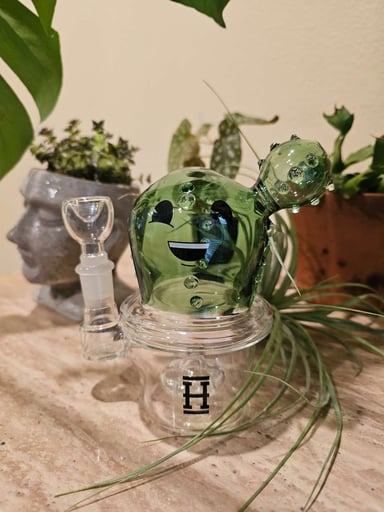 Preview pic of Hemper Cactus Water Pipe! W Box- Never Used!