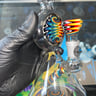 Small image 0