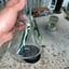Small image 7