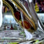 Small image 7