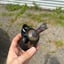 Small image 9