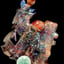 Small image 7
