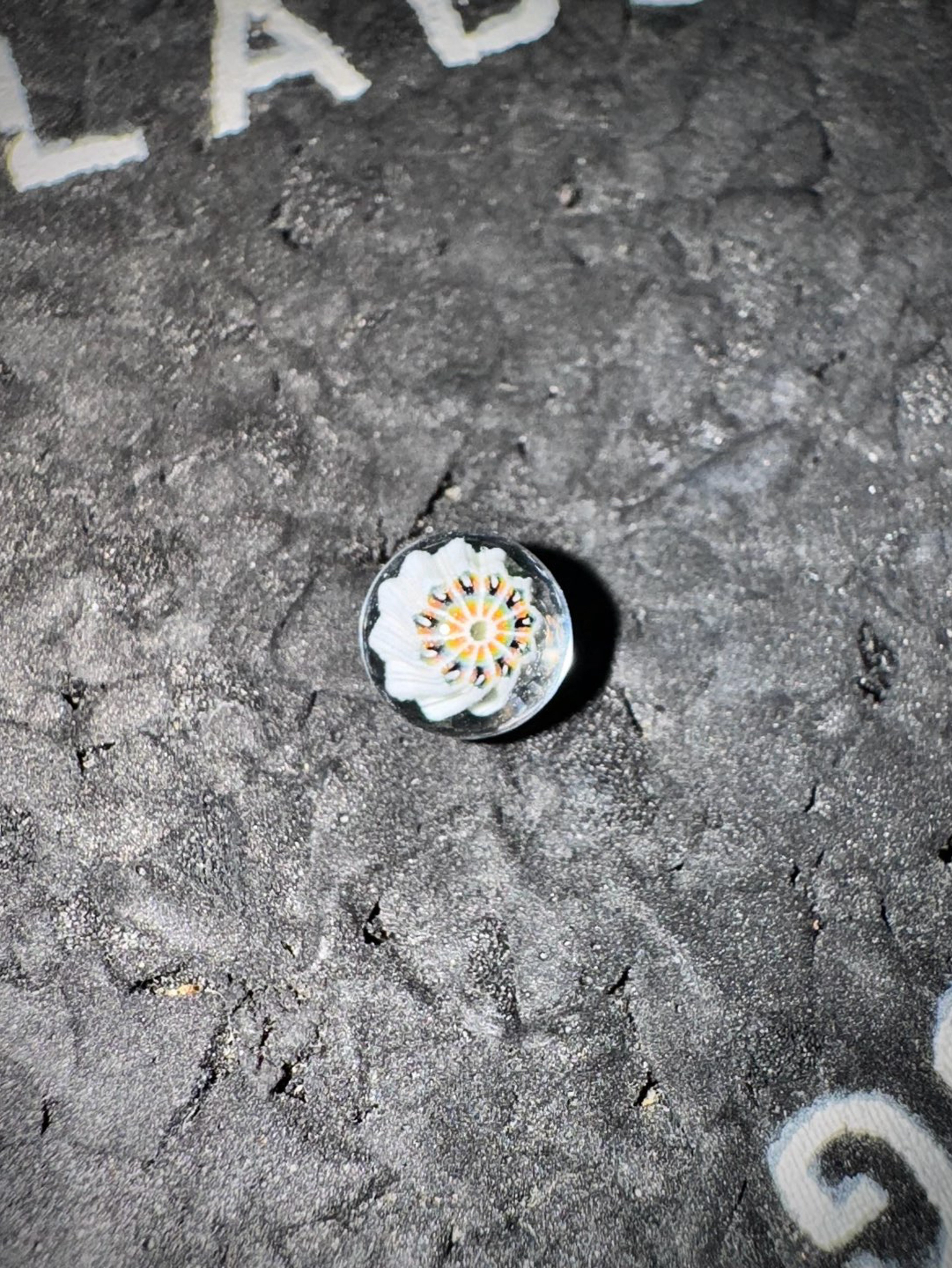 Preview pic of Steve H Millie Pearl 7mm