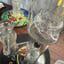 Small image 6