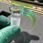 Small image 7