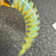 Small image 1