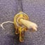 Small image 8