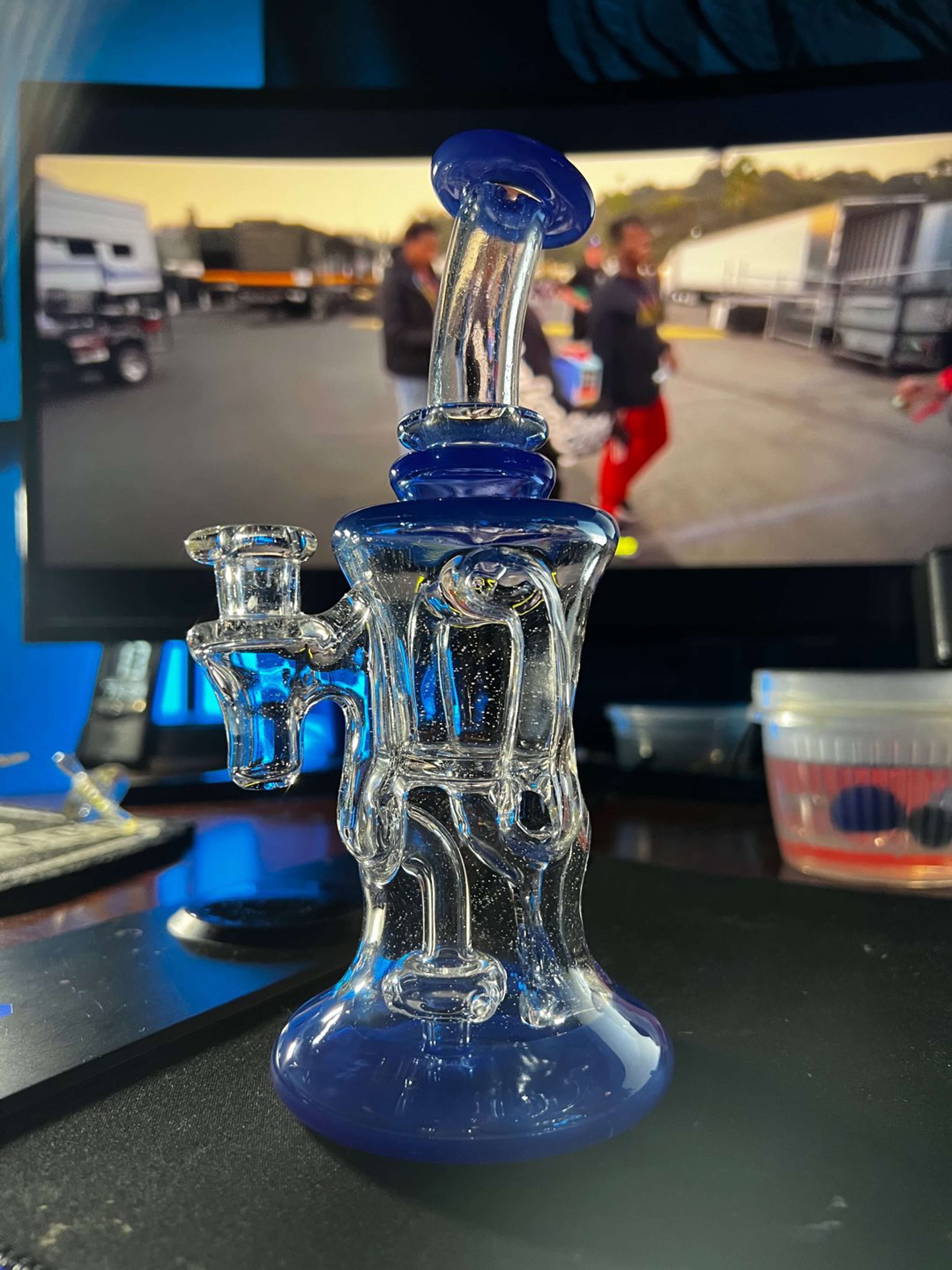 Preview pic of Dabberjaws Lucy (UV) & Mystique