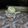 Small image 3