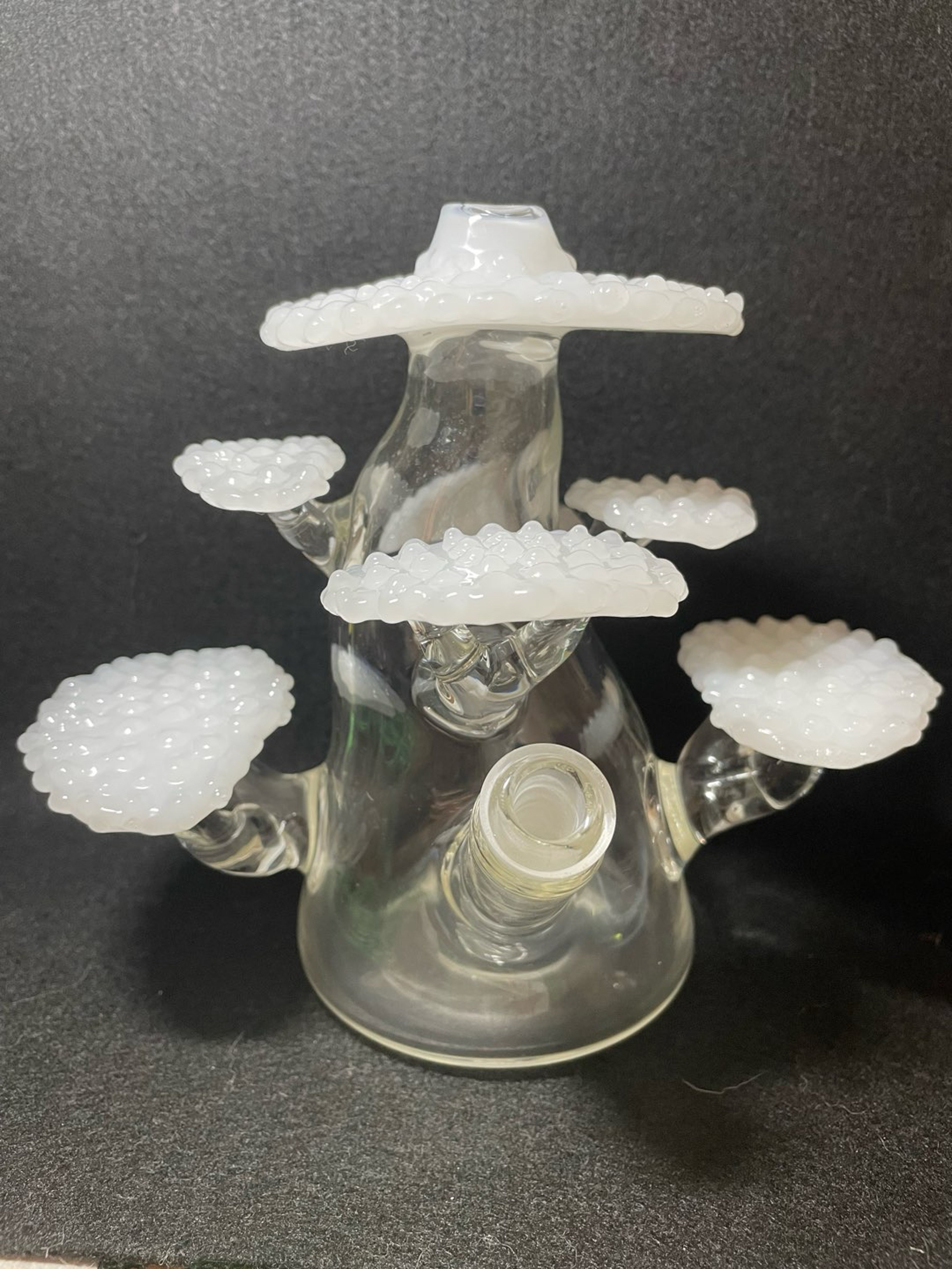 Lu Glass OG Bonsai image 0