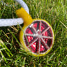 Small image 4