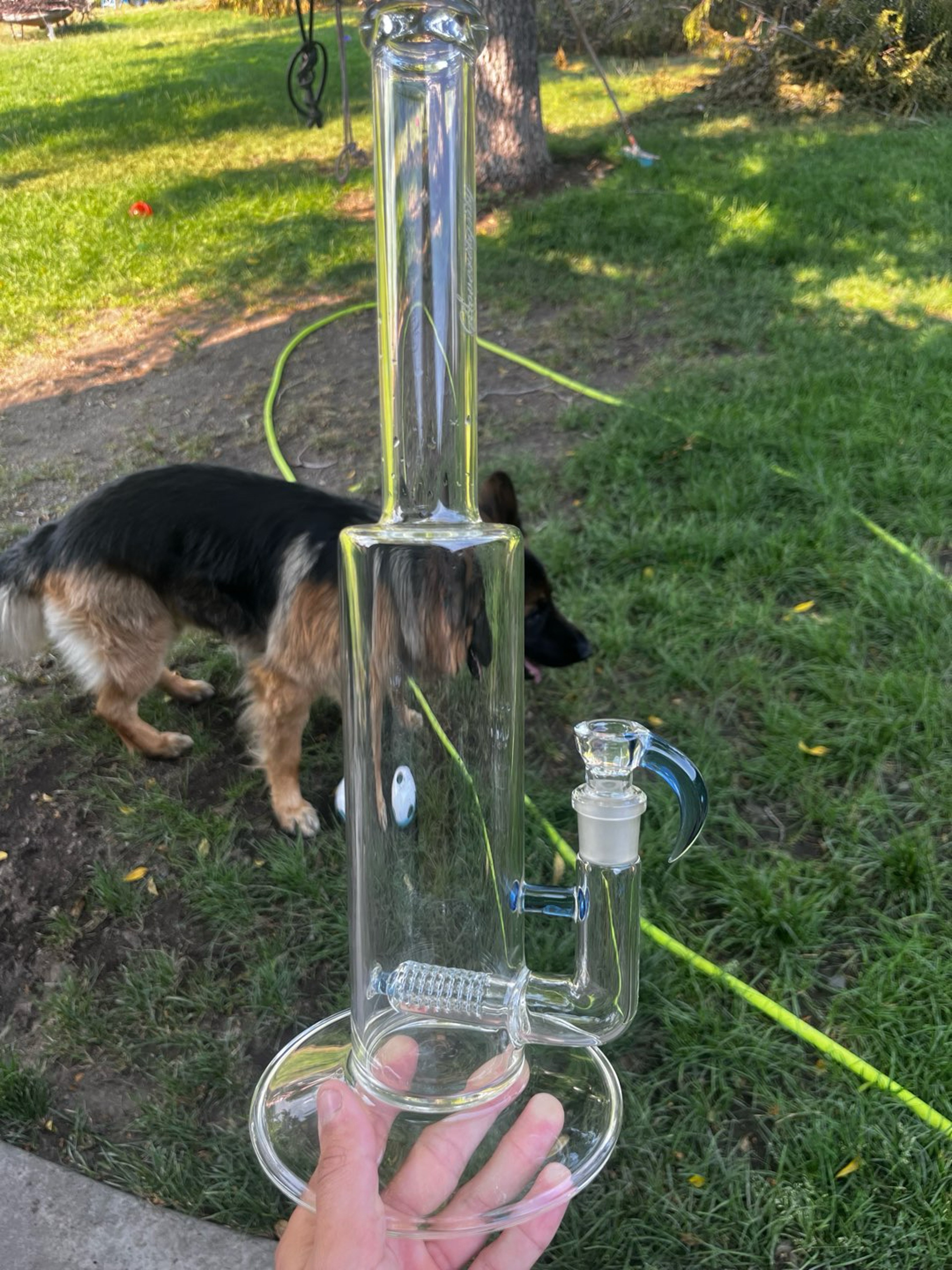 Preview pic of Minor accent jumbo kingstem