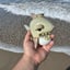 Small image 5