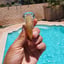 Small image 6