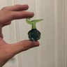 Small image 1
