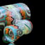Small image 8