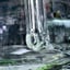 Small image 8