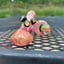 Small image 8