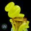 Small image 9