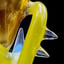 Small image 8