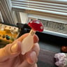 Small image 1