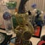 Small image 6