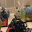 Small image 7