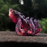 Small image 4