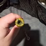 Small image 5