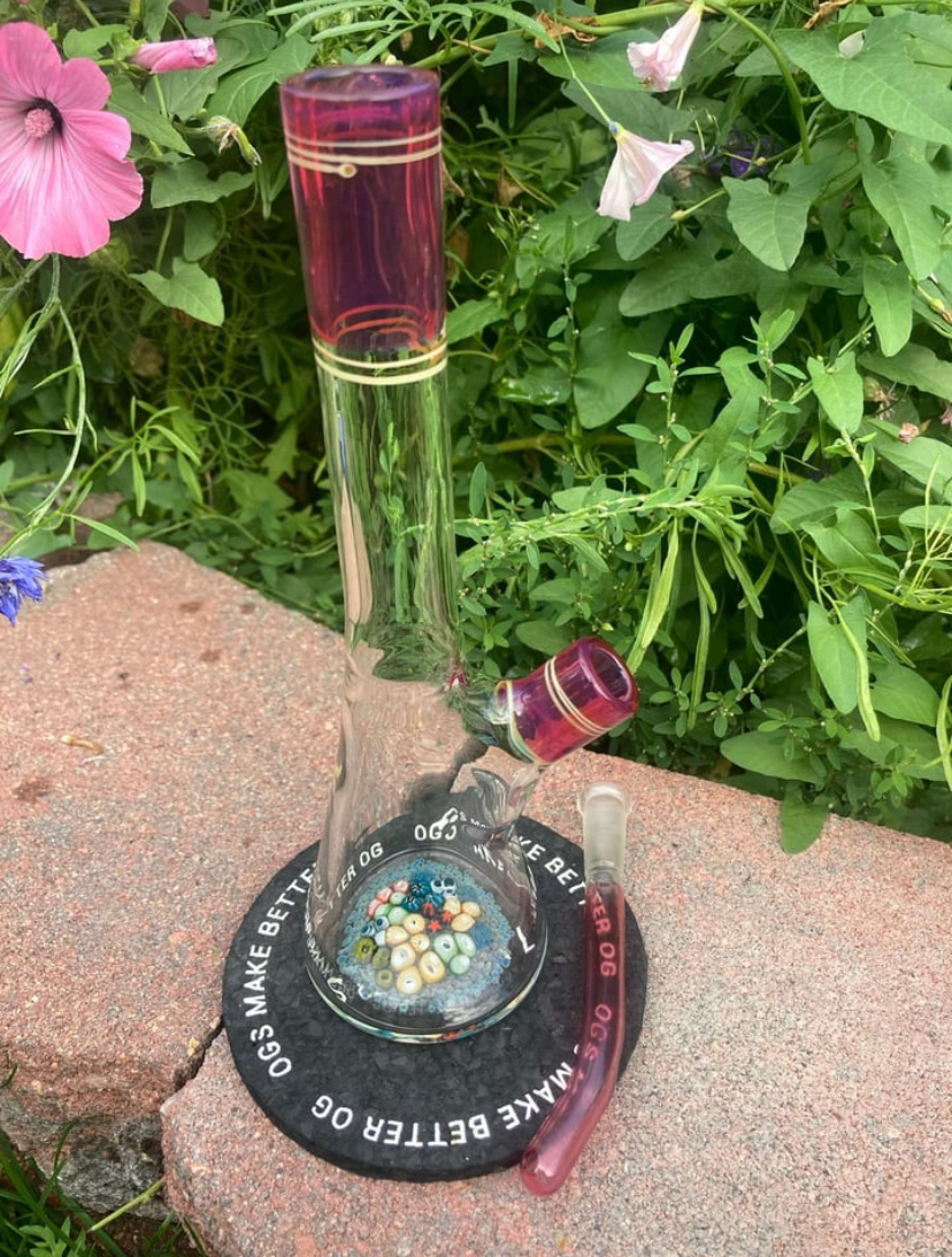 Preview pic of Jack Hanshaw/ Reeflife710