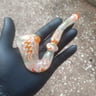 Small image 1