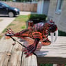 Small image 4