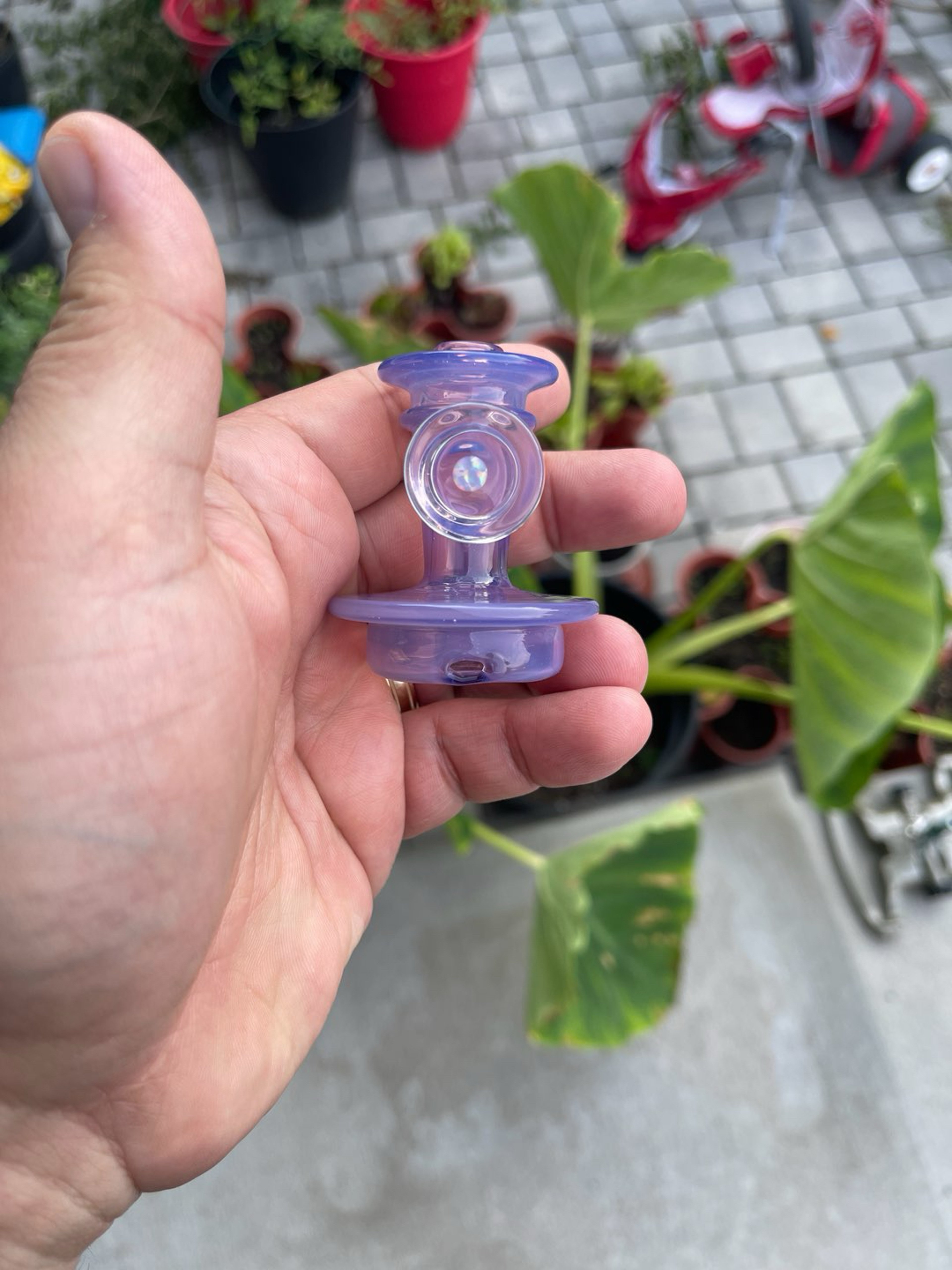 Preview pic of Baby Gorilla carta 2 dry top