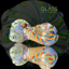 Small image 8