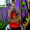 Small image 4