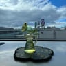 Small image 2