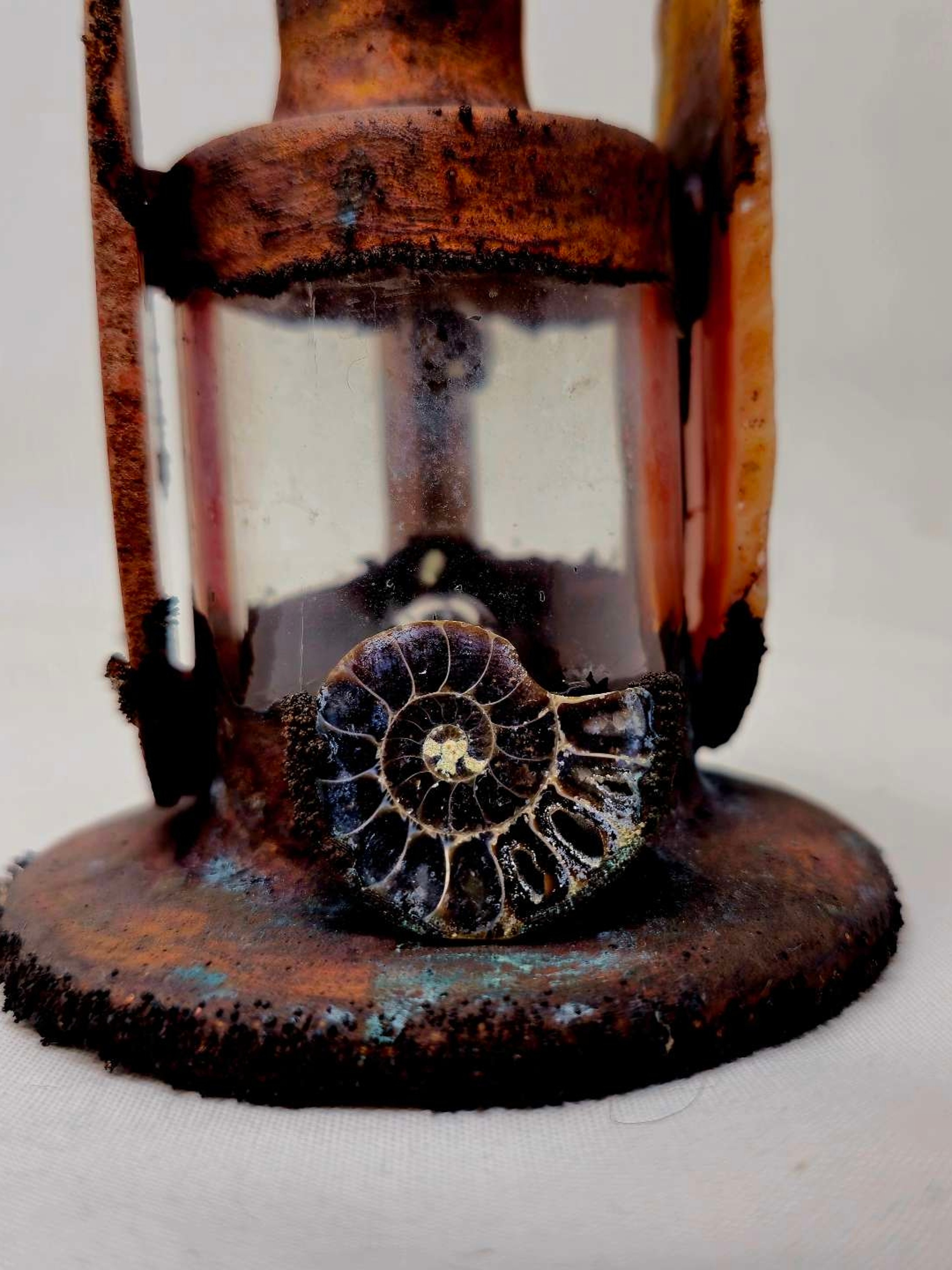 Preview pic of Electroplated Fossils