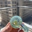 Small image 6
