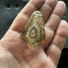 Small image 5