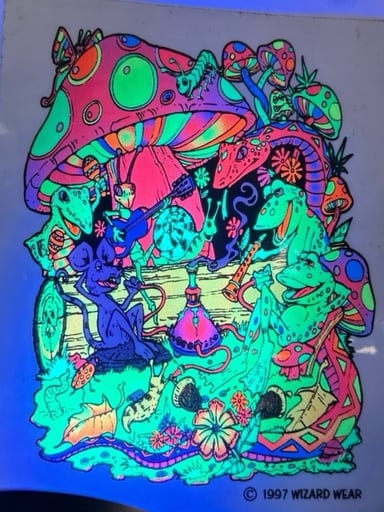 Preview pic of Vintage 1997 Wizard Wear Swamp Friends Blacklight Reactive Sticker