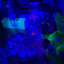 Small image 7