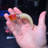 Small image 0