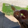 Small image 4